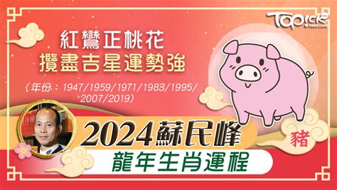 2024年生肖豬運程|2024蘇民峰龍年生肖運程｜肖豬紅鸞正桃花 攬盡吉星 